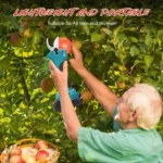 25mm Brushless Electric Pruning Shears 2 Gears Cordless Scissors Fruit Tree Bonsai Pruning Tool For Makita Battery - Image 4