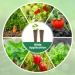 50/100Pcs Seed Grow Sponges Hydroponic Pods Kit with Plant Labels Replacement Root Growth Sponges Indoor Gardening Accessories - Image 6