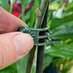 20pcs Garden Plant Clips Butterfly Orchid Clips Plant Support Stem Clamps Garden Flower Vine Plant Support Garden Tools - Image 5