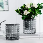 New Self Watering Hydroponic Plants Pot Plastic Succulent Planter Tabletop Vase Home Office Bonsai Decor Planter Decorative Pot - Image 3