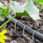 Heavy-duty Fence Tubing Stakes Sod Pins U-type Garden Staples Galvanized Landscape Spike for Holding Lawns Barrier Ground Nail - Image 4