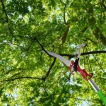 Adjustable Long Reach Tree Pole Saw, Manual Pole Pruner with Carry Bag for High Branch Cutting & Forestry - Image 4