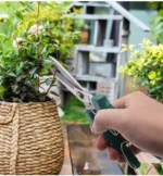 Straight Head Pruning Shears Non-slip HandleStainless Steel Outils Manuels Household Bonsai Garden Scissors Pruing Shear - Image 3