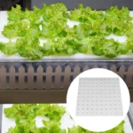 500/100PCS Hydroponic Plant Sponge Garden Cultivation Seedling Soilless Culture Planting Tools Vegetables Nursery Pots Trays - Image 5