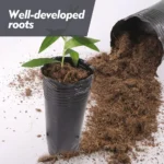 2-size 10-100pcs Tall Round Tree Pots Garden Plants Grow Cultivation Planter with Drainage Holes Plastic Deep Nursery Containers - Image 2