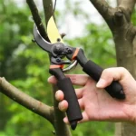 Gardening Shear Fruit Tree Pruner Landscape Thick Branch Scissor Floral Trimming Tool Harvesting Cutter Professional Garden Tool - Image 2
