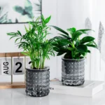 New Self Watering Hydroponic Plants Pot Plastic Succulent Planter Tabletop Vase Home Office Bonsai Decor Planter Decorative Pot