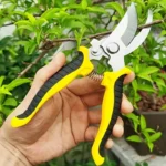 Stainless Steel Professional Gardening Shears Pruning branches Fruit trees Flowers Household Pruning Tools Shears - Image 3