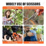 Garden Pruning Shears Stainless Steel Blades Safety lock pruning shears Beginner gardening set for Flowers Herbs Small Branches - Image 3