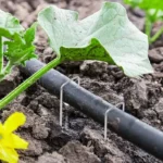 50/10x U-type Garden Stakes Heavy-duty Fence Tubing Staples Sod Pins Galvanized Landscape Spike Holding Lawn Barrier Ground Nail - Image 5