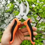 Stainless Steel Professional Gardening Shears Pruning branches Fruit trees Flowers Household Pruning Tools Shears - Image 2