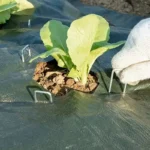 50/10x U-type Garden Stakes Heavy-duty Fence Tubing Staples Sod Pins Galvanized Landscape Spike Holding Lawn Barrier Ground Nail - Image 3