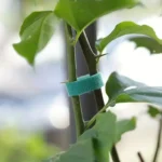 Self Adhesive Plant Nylon Cable Tie Strips Green Adjustable Plants Hook Loop Support Garden Twine Bandage Reusable Fastener Tape - Image 2