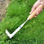 Stainless steel gap weeding tool, L-shaped multi-purpose garden hand tool, used for clearing weeds in yards, terraces, and lanes - Image 2