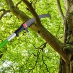 Pole Pruner100-600 cm , Telescopic Pruning Shears with Pruning Saw, Pruning Saw with Handle, Garden Tools Set, High Reach Cut - Image 5