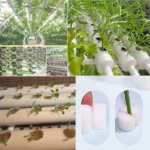 50pcs Hydroponic Soilless Mesh Net basket Plant veg Grow Nursery Cup Pot Sponge tray Aeroponic Veg Planter Clone Colonization q1 - Image 3