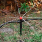 10/30Pcs Spiked Dripper Sprinkler 8 Hole Drop Emitter All Round Scattering Sprinkler Garden Flower Watering Irrigation Supplies - Image 4