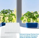 500/100PCS Hydroponic Plant Sponge Garden Cultivation Seedling Soilless Culture Planting Tools Vegetables Nursery Pots Trays - Image 6