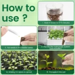 50/100Pcs Seed Grow Sponges Hydroponic Pods Kit with Plant Labels Replacement Root Growth Sponges Indoor Gardening Accessories - Image 3