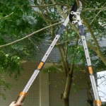 Heavy Duty Pruning Shears for Thick Branches - Professional Grade Steel, Ergonomic Handles, Sharp Cutting Tool for Gardening.