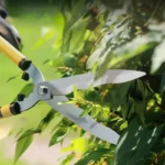 Garden Tools Gardening Scissors Flower Pruner Garden Shears Lawn Special Hedge Shears Pruning Branches for Plant Cutter - Image 4