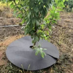 New Tree Protection Weed Mats Ecological Control Cloth Mulch Ring Round Weed Barrier Plant Cover for Indoor Outdoor Gardens - Image 5