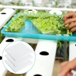 500/100PCS Hydroponic Plant Sponge Garden Cultivation Seedling Soilless Culture Planting Tools Vegetables Nursery Pots Trays - Image 3