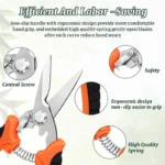3PCS Pruning Shears For Gardening Garden Scissors With Sharp Stainless Steel Blade Bypass Pruning Shears Set For Flowers Fruit - Image 3