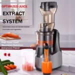 1 Bucată Înzăpeză cu Priză EU Hilton, Extractor de Sucuri Lent, Presă de Sucuri Masticatoare pentru Fructe și Legume, Presă Profesională Lentă Nama, Presă pentru Portocale și Citrice, Ușor de Curățat pentru Sucuri Acasă, Culoare Gri Închis